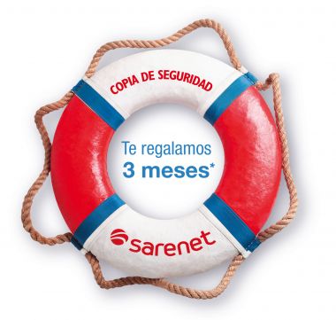 Copia de seguridad remota