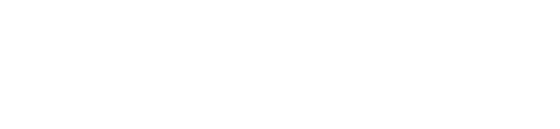 sarenet